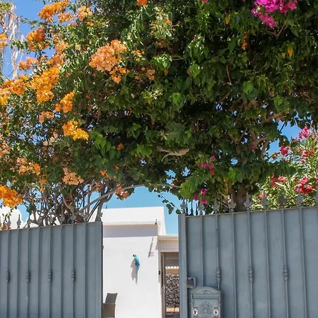 Oliveira By Buenavilla Vila *